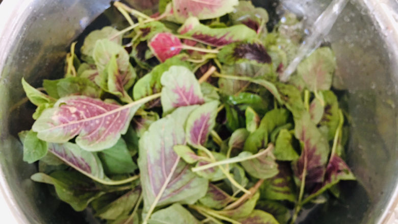 清炒苋菜,清水洗净,叶子有沙子多洗几遍