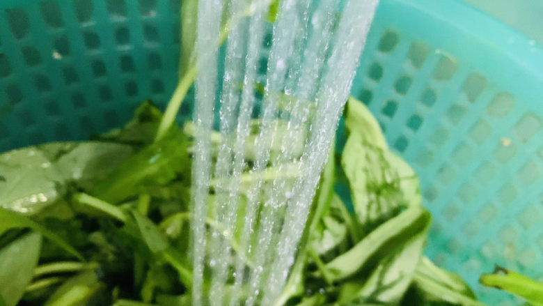 蒜蓉空心菜,用水冲洗