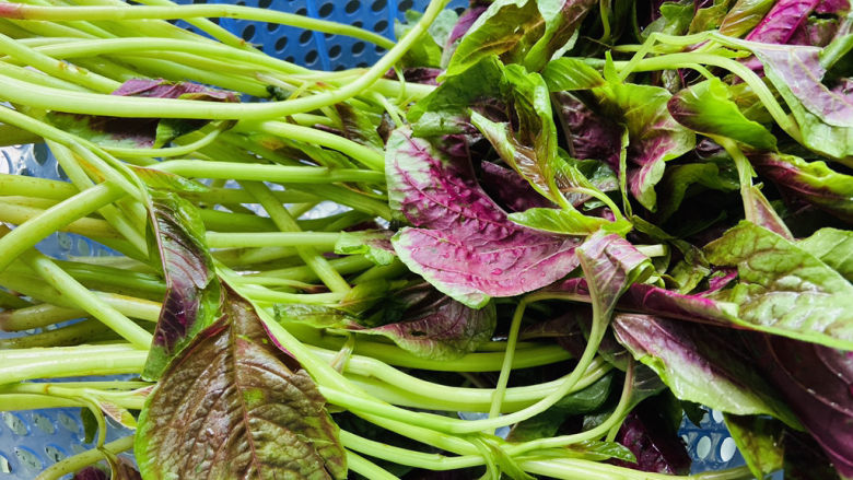 苋菜豆腐汤,沥干水分