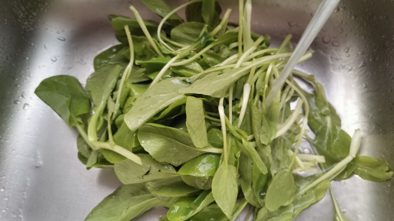 清炒鸡毛菜,用水清洗干净