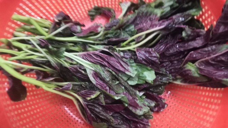 苋菜豆腐汤,洗干净的苋菜,沥干水份
