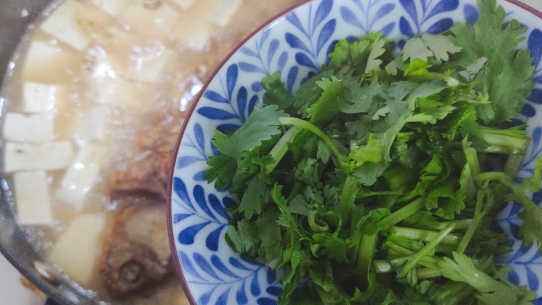 豆腐鱼头汤,加入香菜,即可