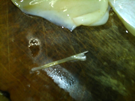 葱爆鱿鱼,鱿鱼去骨,