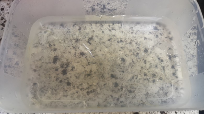 宝宝无糖奶酪棒,吉利丁片泡软待用,注意不要让它们黏在一起