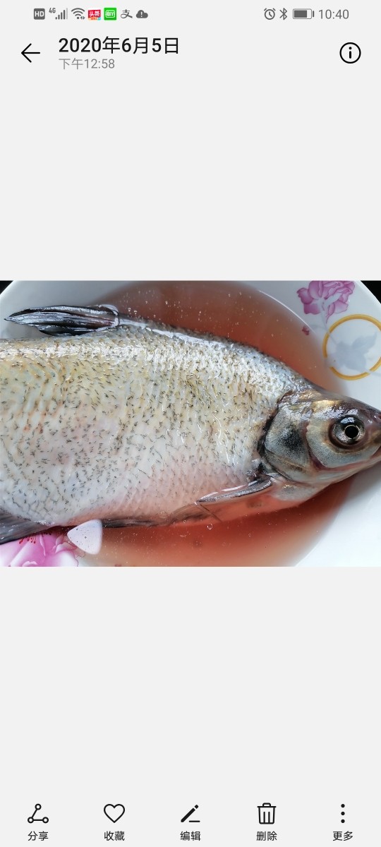 葱油鳊鱼,将鱼泡水清洗干净,鱼肚里黑色筋膜扯掉