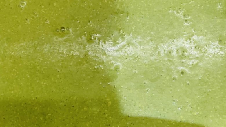 天意弄人永不放弃菠菜布丁蛋糕,面糊倒入模具。