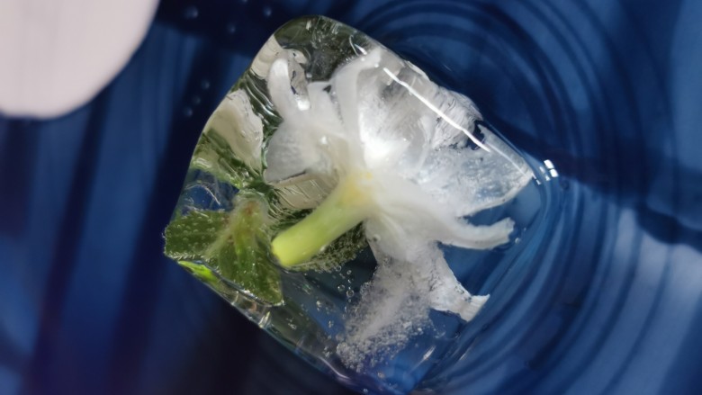 茉莉花冰,美美哒!