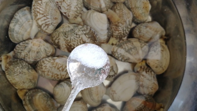 丝瓜花蛤汤,花蛤淡盐水里静止泡1个小时以上,吐沙。