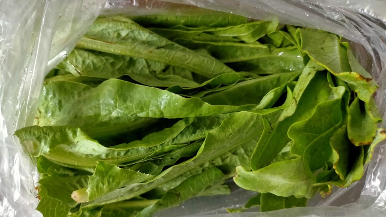 凉拌千张,<a style='color:red;display:inline-block;' href='/shicai/ 2627'>莴笋叶</a>
上次在超市里面买的莴笋，带很多叶子，扔掉可惜，洗净放冰箱冷藏，需要的时候拿出来凉拌或者炝炒都很好吃