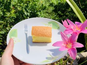 古早味蛋糕🍰