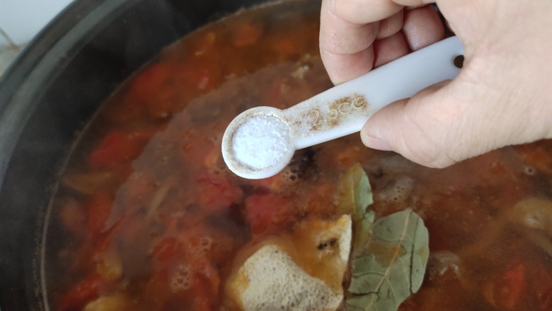 番茄牛腩煲,加盐调味大火烧开,小火慢炖