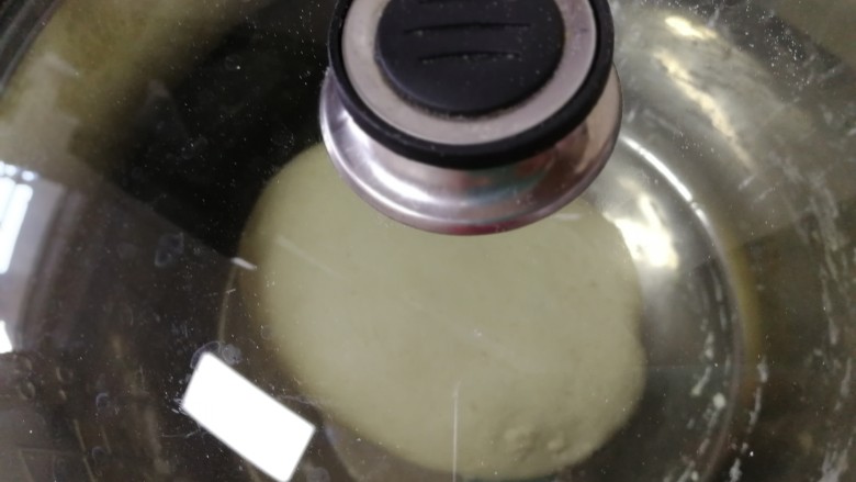 荞麦馒头,盖上盖子,室温发酵。