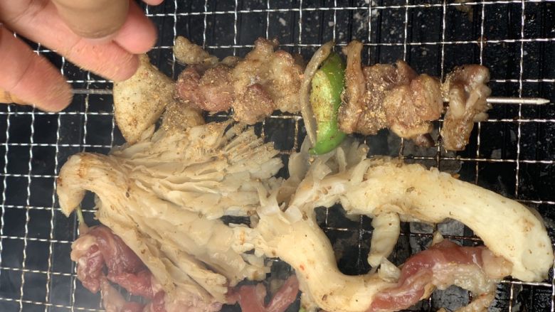 美味烧烤季—羊肉串,撒烧烤料