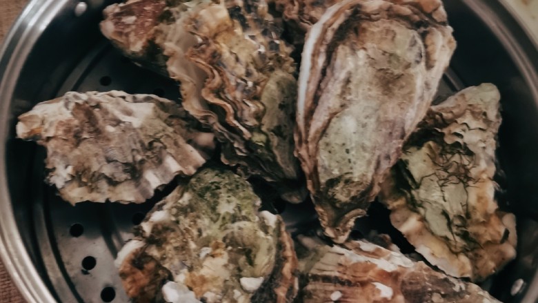 清蒸生蚝,时间到 生蚝已经蒸熟了
