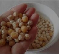 豌豆糕,泡至豌豆外皮使用出褶皱,里面的豌豆仁干燥