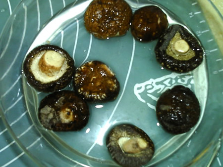香菇牛肉酱,干香菇泡发,