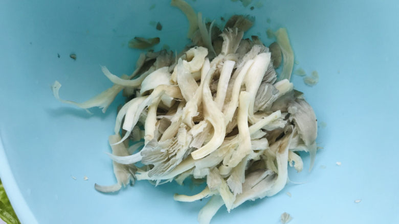 平菇炒鸡蛋,<a style='color:red;display:inline-block;' href='/shicai/ 231'>平菇</a>洗净,撕成小条;