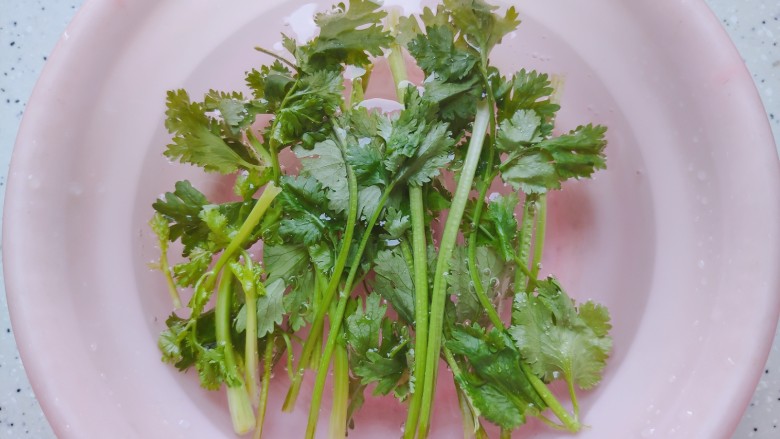 黄瓜拌猪耳朵,<a style='color:red;display:inline-block;' href='/shicai/ 131'>香菜</a>摘洗干净,泡在饮用水内,备用
