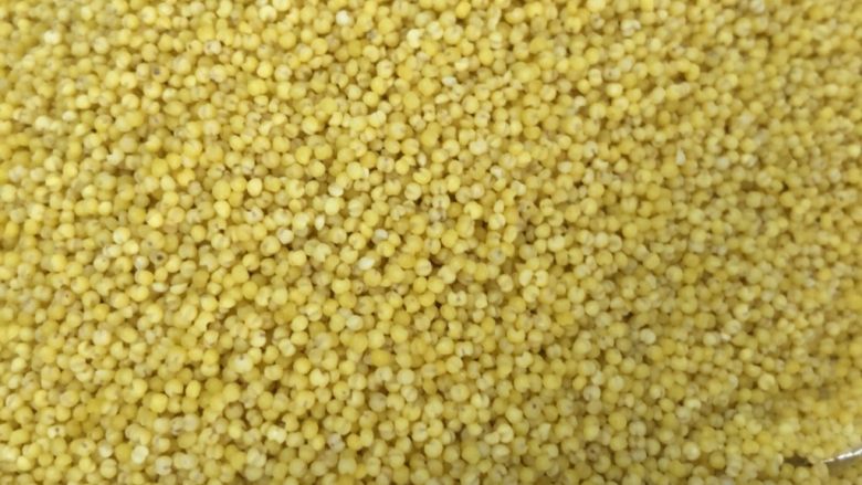 绿豆小米粥,<a style='color:red;display:inline-block;' href='/shicai/ 493'>小米</a>健胃消食 