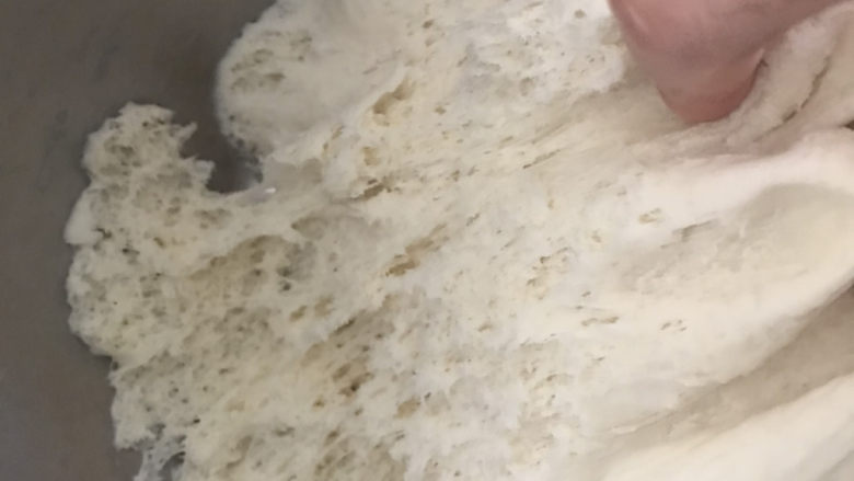 双色贝壳馒头,发酵好的面团,用手抓能看到蜂窝组织