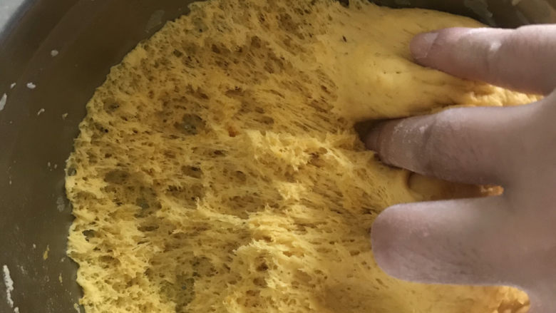 双色贝壳馒头,发酵好的面团,用手抓能看到蜂窝组织