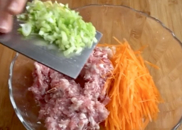 莲藕肉丸,切好的材料都放进碗里,先来加点葱末姜末,主要是去腥增香的