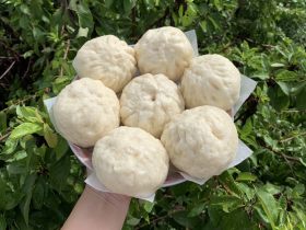 绿豆大包子