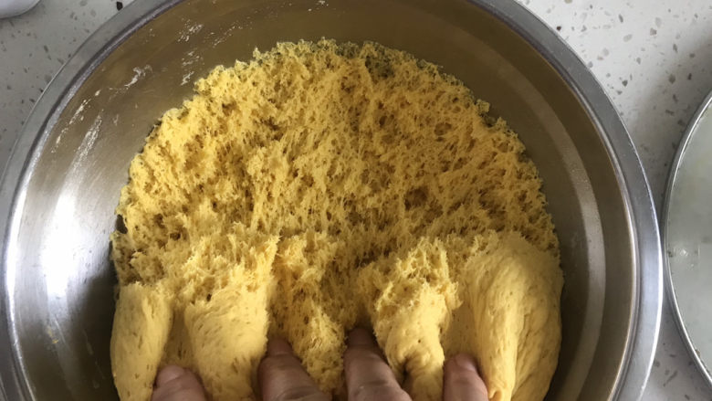 南瓜紫薯包,发酵好的面团,用手抓能看到蜂窝组织