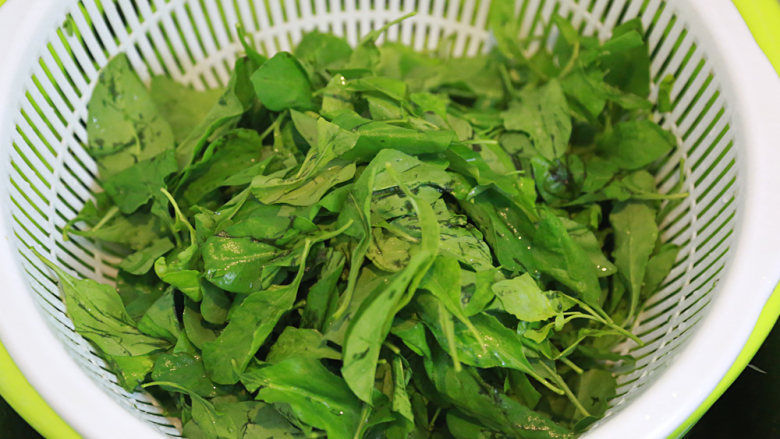 猪肝瘦肉粥,<a style='color:red;display:inline-block;' href='/shicai/ 142823'>枸杞叶</a>去梗摘好洗干净;
