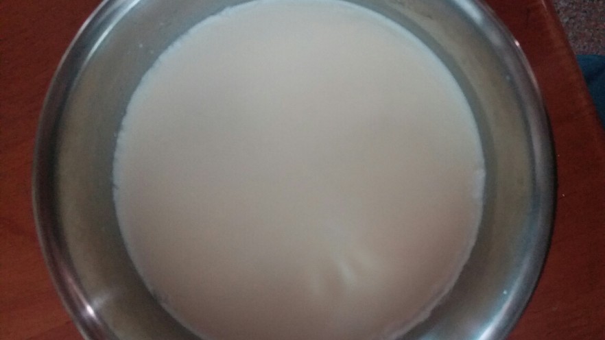 自制酸奶