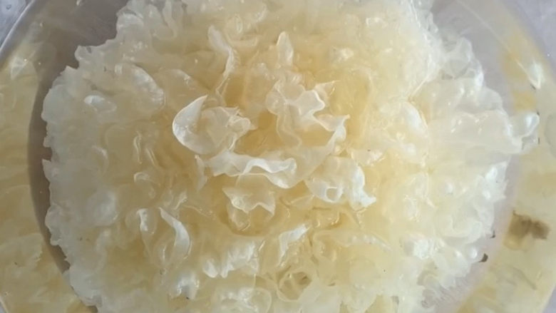 紫薯银耳粥,提前泡半天就可以了,泡发好以后是这种状态就行了