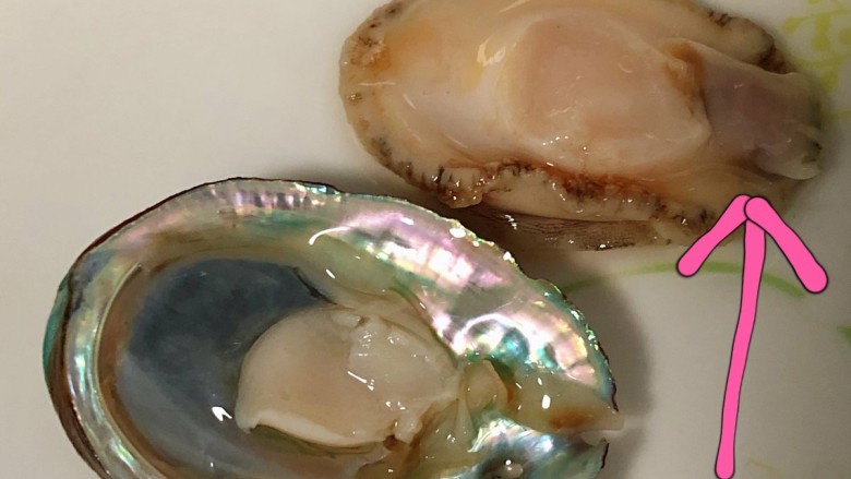 鲍鱼海鲜粥,用小刀把鲍鱼与壳分离,图片箭头位置要清除