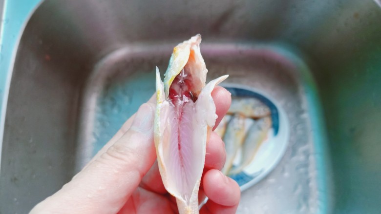 香辣小黄鱼,用剪刀或者小刀从鱼尾开始往上把鱼鳞刮干净。剪刀从鱼肚尾部剪开,去除不能吃的位置。