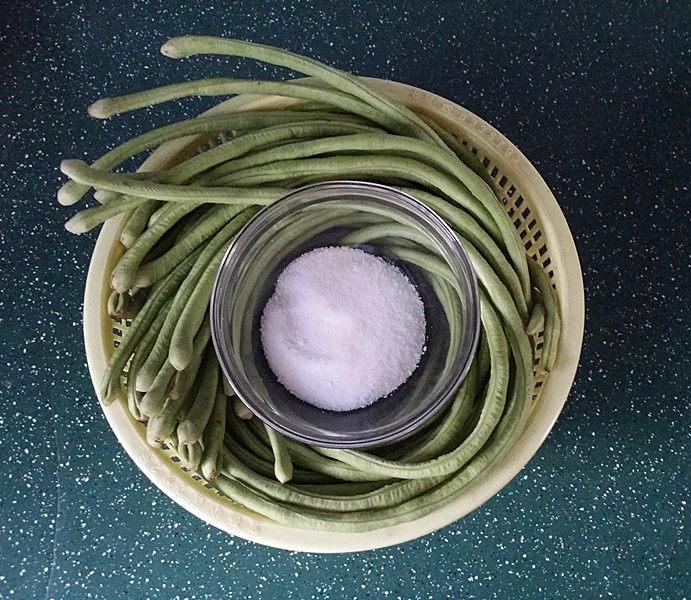 酸豆角炒肉末,腌制酸豆角:新鲜<a style='color:red;display:inline-block;' href='/shicai/ 60'>豇豆</a>抖去浮土后理齐、食盐倒入开水中融化待凉