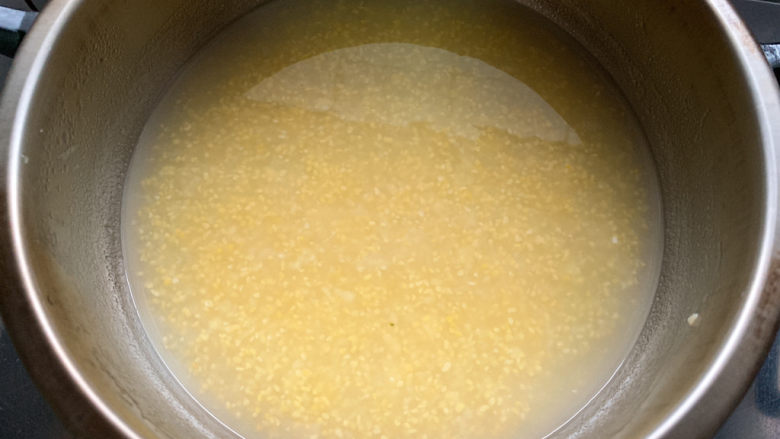 苹果小米粥,入锅煮至沸腾后，继续小火20分钟左右煮粥。