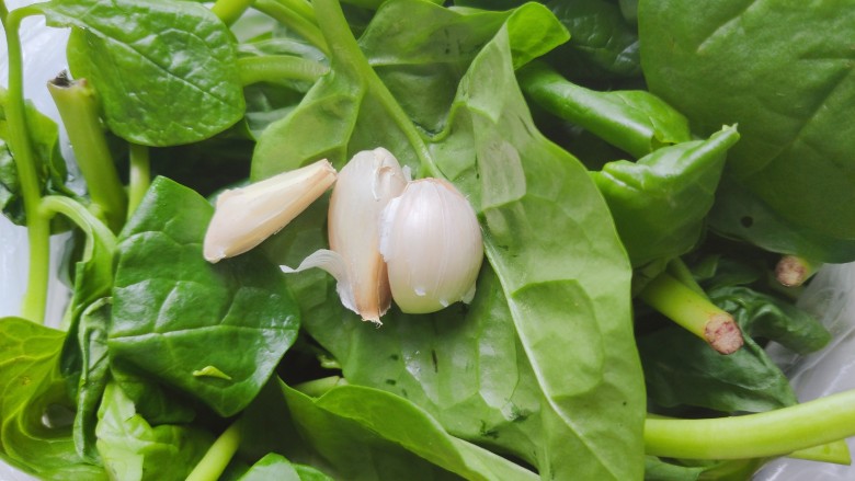 蒜泥木耳菜,首先我们准备好所有食材