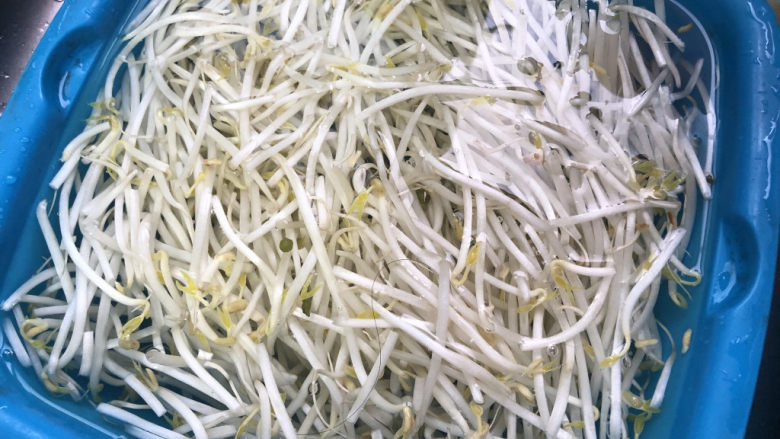 豆芽炒粉条,豆芽清洗干净。