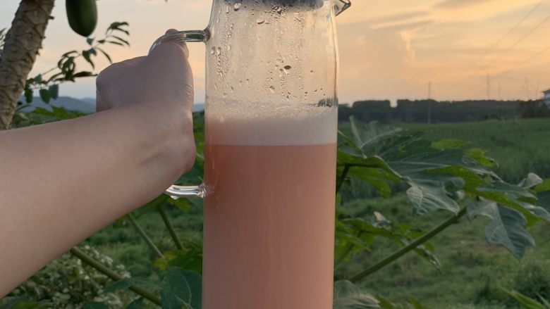 木瓜牛奶汁,太好了!