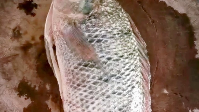 红烧鱼块,准备食材,一条新鲜的<a style='color:red;display:inline-block;' href='/shicai/ 370'>罗非鱼</a>,杀好之后洗干净。可以根据自己的喜好选择其它鱼!