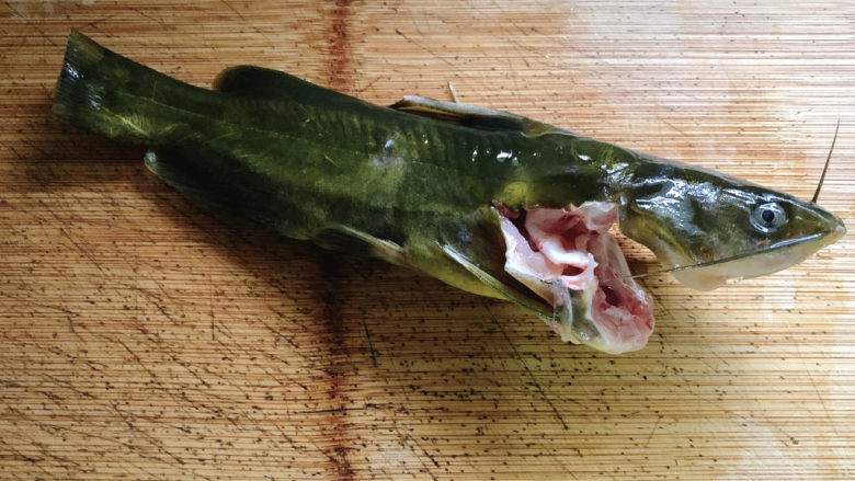 红烧鱼块,食材如图,所示示意。