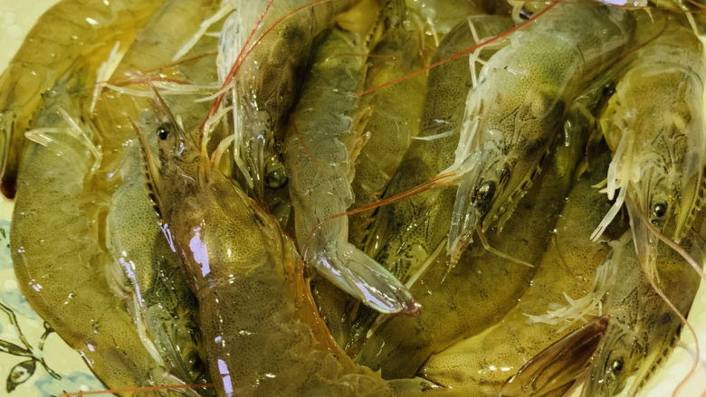 清蒸虾,虾用清水冲洗一下,装盘里
