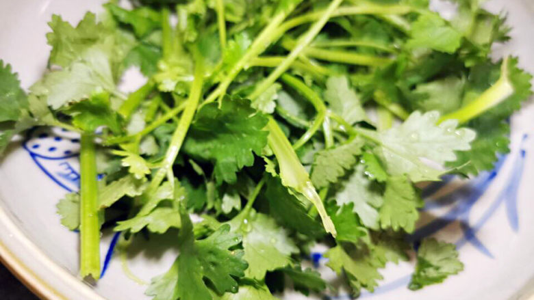 土豆炒肉丝,盘中放香菜,把土豆肉丝放进来