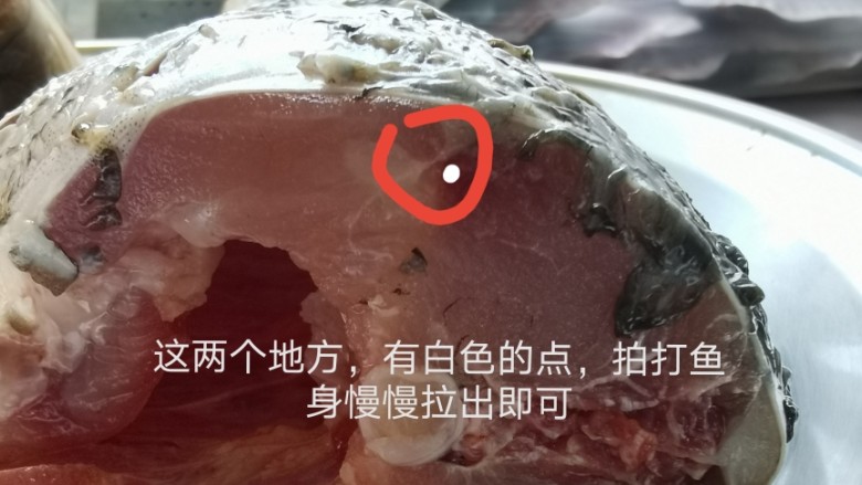 民间手把手《红烧鲤鱼》,鲤鱼要取鱼腥线,一定要取。