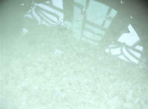 红枣南瓜粥,大米淘洗干净后最好提前浸泡一会。