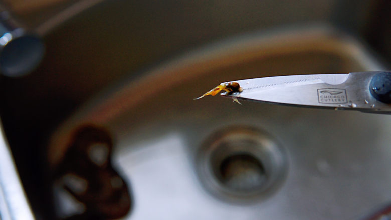 冬瓜鸡蛋汤,看，这就是虾胃，极寒之物