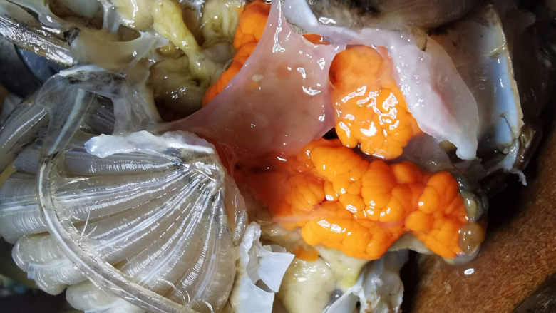 清蒸螃蟹,螃蟹用筷子从嘴巴插入,确实不会动,翘开蟹壳,这边为蟹身部分