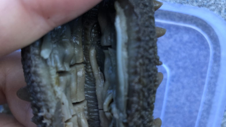 海参的泡发,海参的这几条筋不要去除,剪上几刀,可以后续泡发的更好。