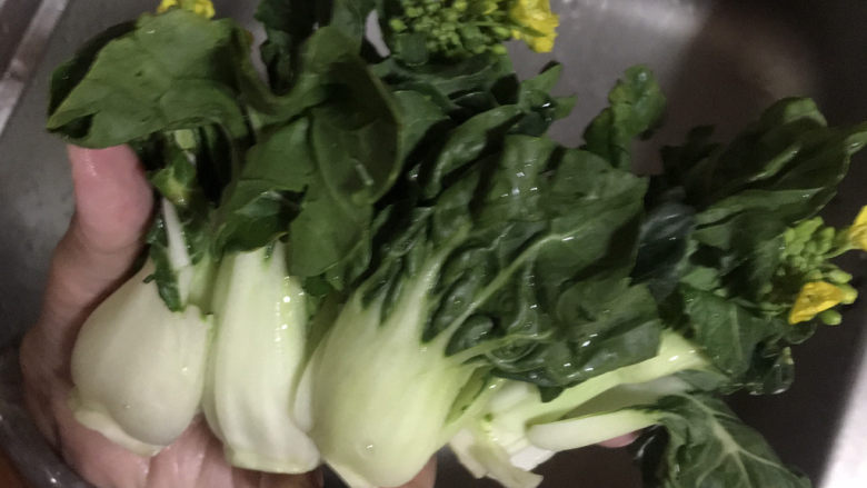 白菜豆腐汤,准备4棵<a style='color:red;display:inline-block;' href='/shicai/ 3187'>奶白菜</a>,洗干净