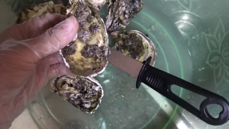 蒜蓉生蚝,开生蚝的时候先用刀尖探一下贝壳之间的缝隙,从中间部分入手在两壳之间慢慢晃动,慢慢撬开