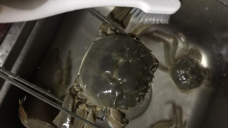 蒜泥螃蟹,夹起螃蟹,刷一下螃蟹背部与腹部